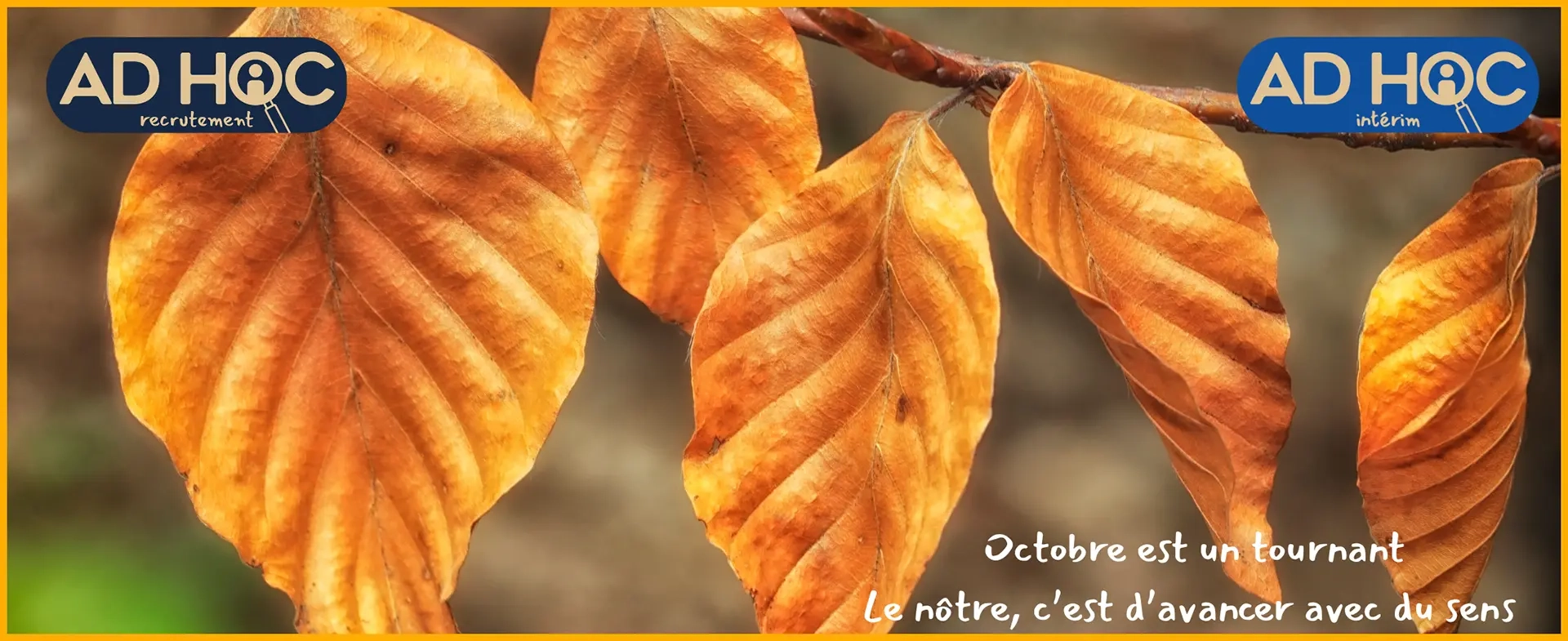 Bannière Adhocinterim Octobre